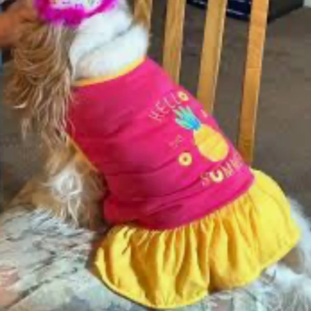 New Top Paw Hello Summer Dog Dress L